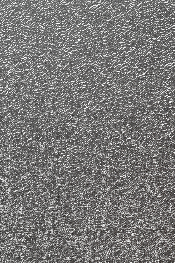 Skytogen (Wide)