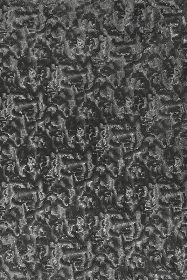 Karakul (Swirl)