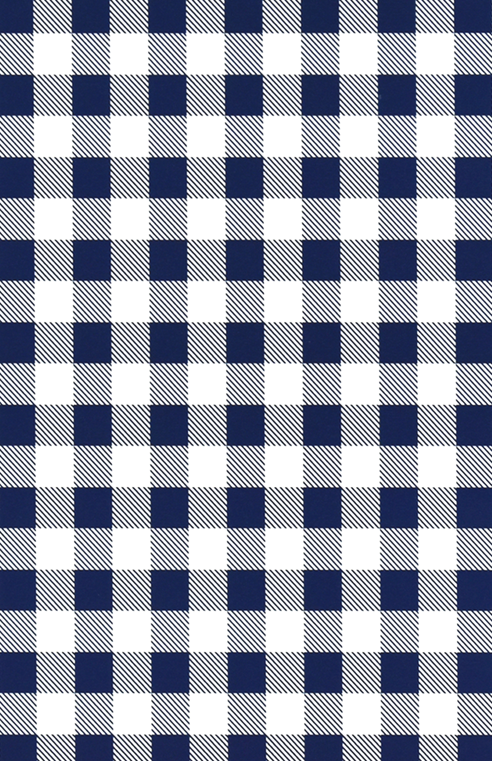 Blue Modern Gingham