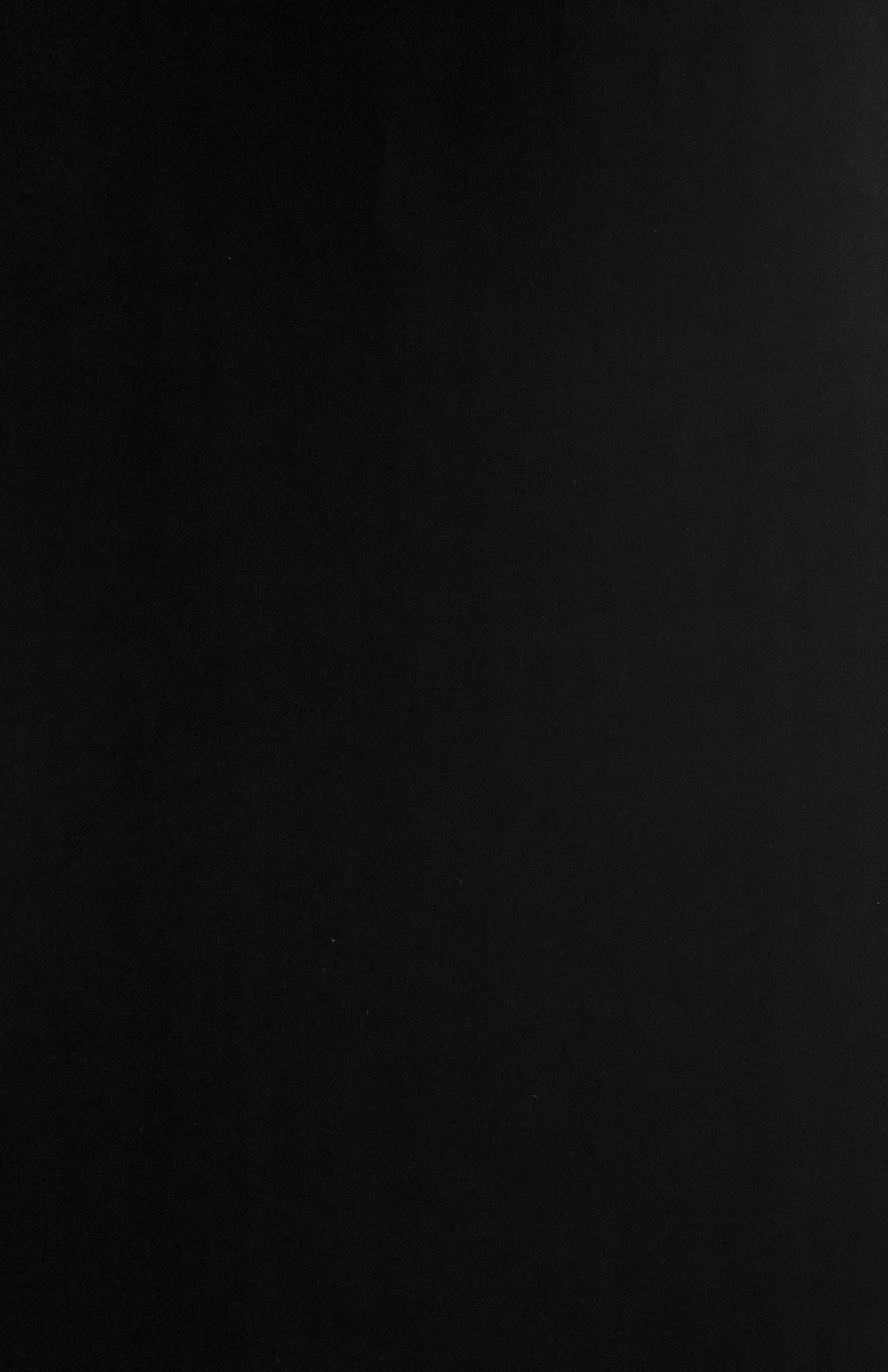 Black Velvet